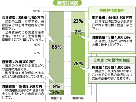 平成19年度バランスシートグラフ