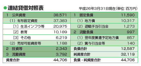 平成25年度貸借対照表