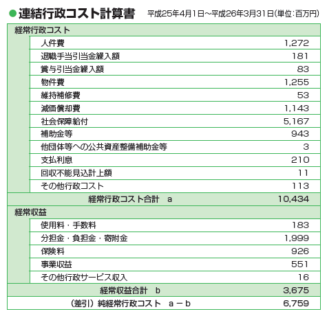 平成25年度行政コスト計算表