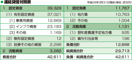 平成28年度貸借対照表