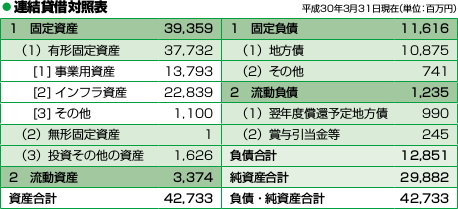 平成29年度貸借対照表