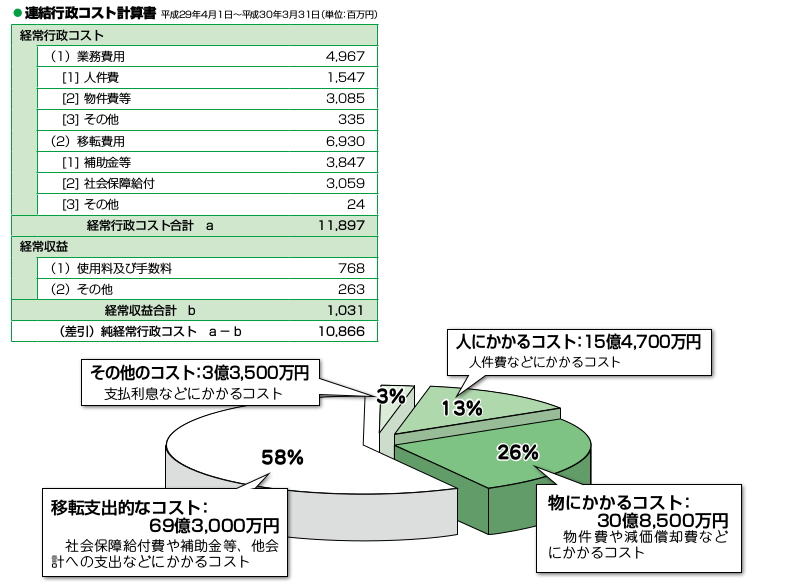 平成29年度行政コスト計算表