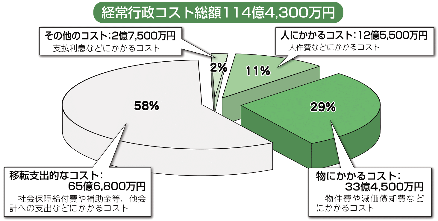 平成29年度行政コスト計算表