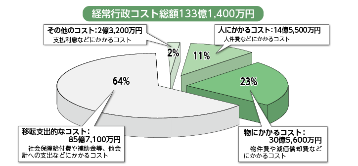 平成29年度行政コスト計算表